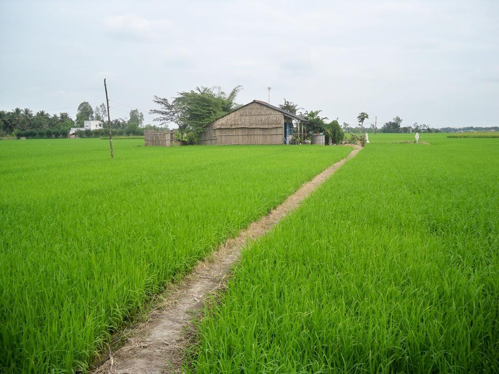 Green Areca Villa Hoi An Exterior photo