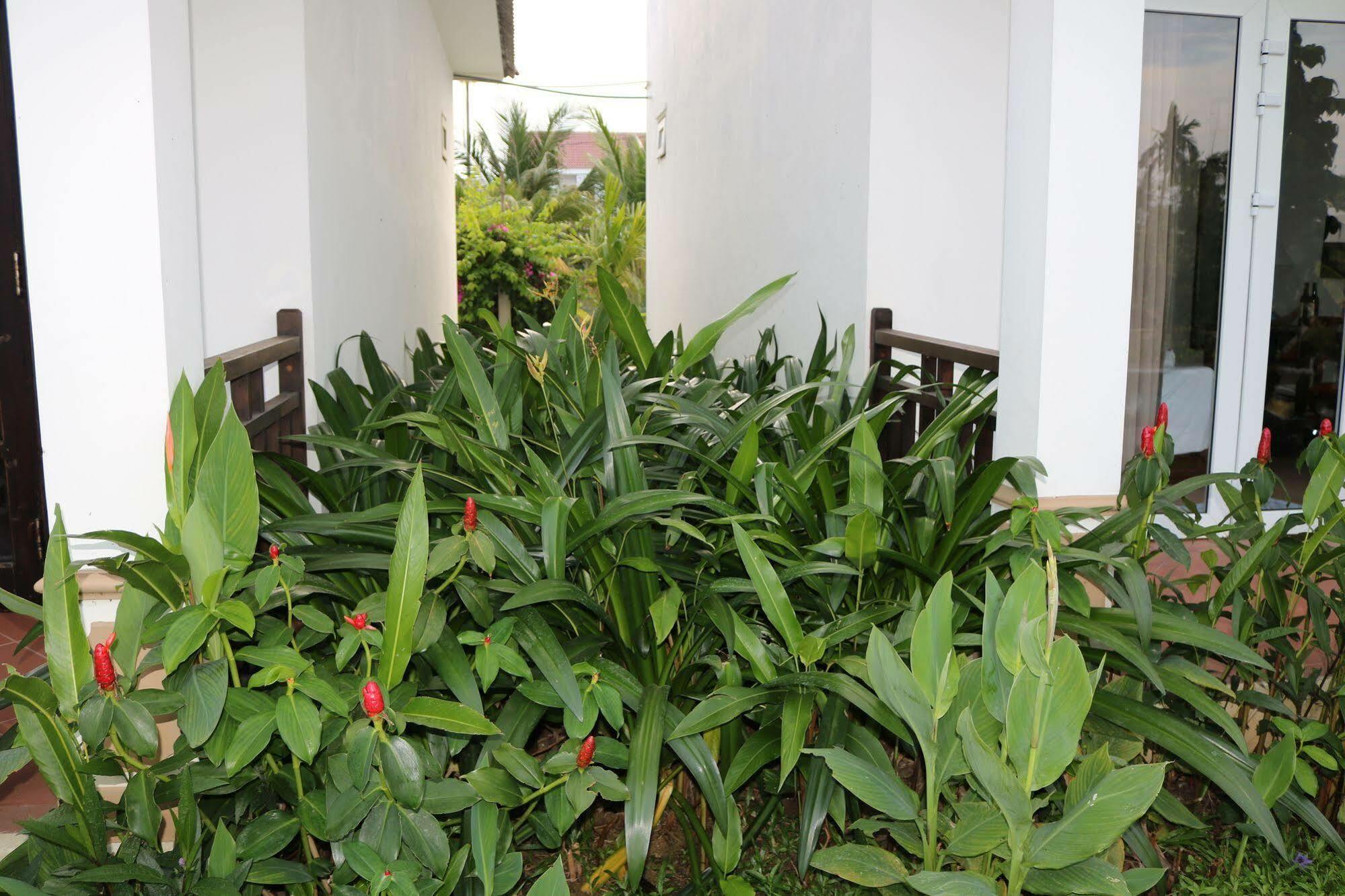 Green Areca Villa Hoi An Exterior photo